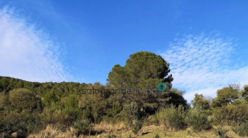Málaga - Gaucín - 66000m2