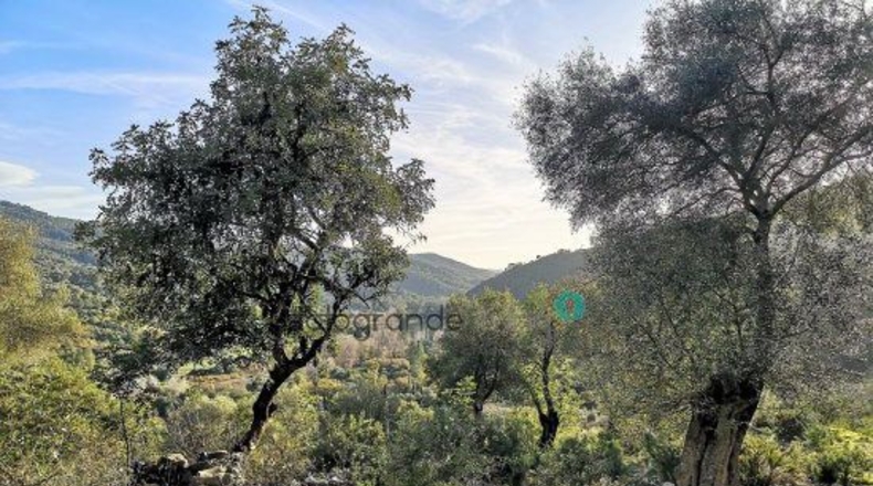 Málaga - Gaucín - 66000m2