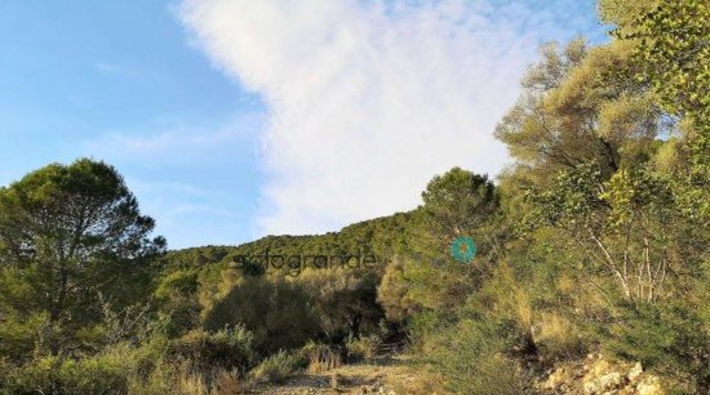 Málaga - Gaucín - 66000m2