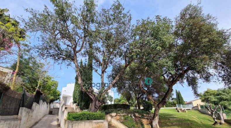 Cádiz - San Roque - 1789m2