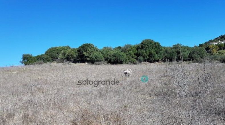 Cádiz - San Enrique - 11700m2