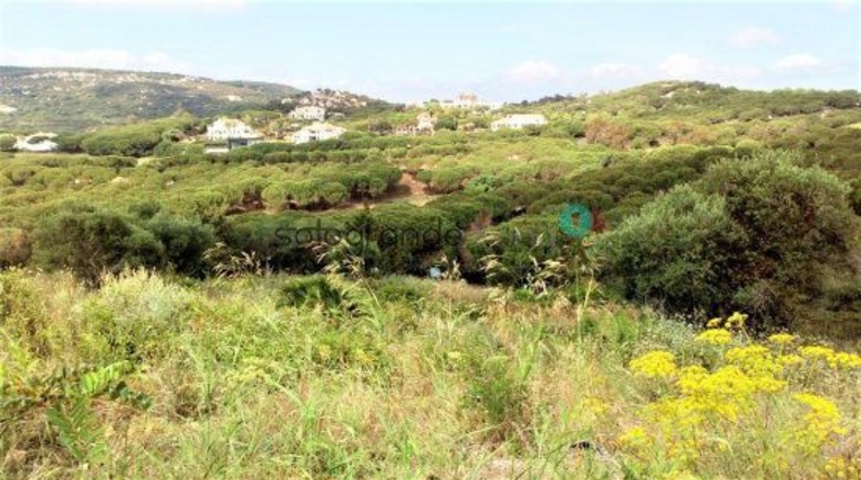Cádiz - San Roque - 3175m2