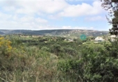 Terreny no urbanitzable en venda a San Roque ref.: TR252497 foto