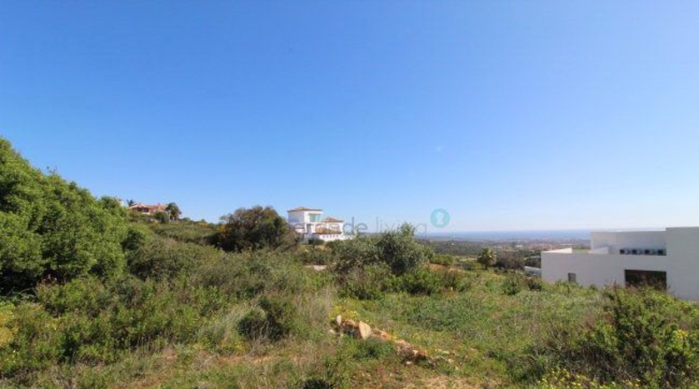 Cádiz - San Roque - 2395m2
