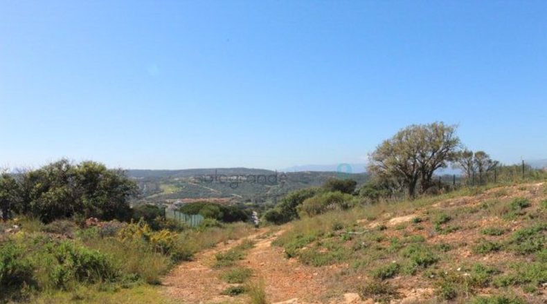 Cádiz - San Roque - 2395m2