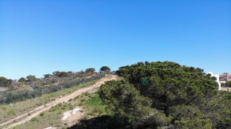 Cádiz - San Roque - 2324m2