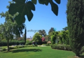 Villa con terreno en alquiler en San Roque ref: TR285080 foto