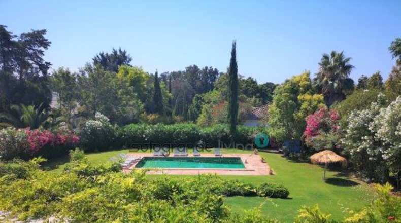 Cádiz - San Roque - 2450m2