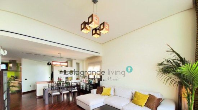 Cádiz - San Roque - 1031m2