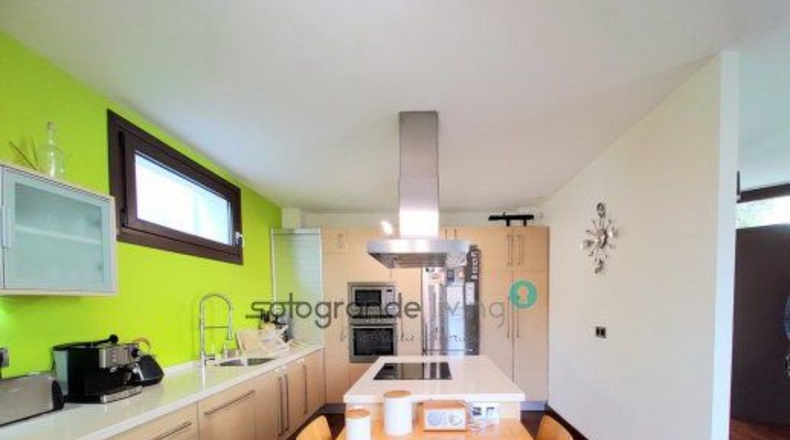 Cádiz - San Roque - 1031m2