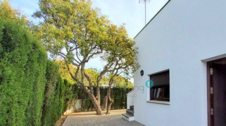 Cádiz - San Roque - 1031m2