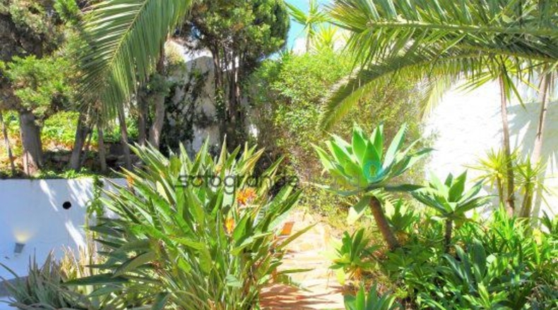 Málaga - La Paloma - 950m2