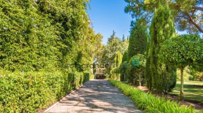 Cádiz - San Roque - 7670m2