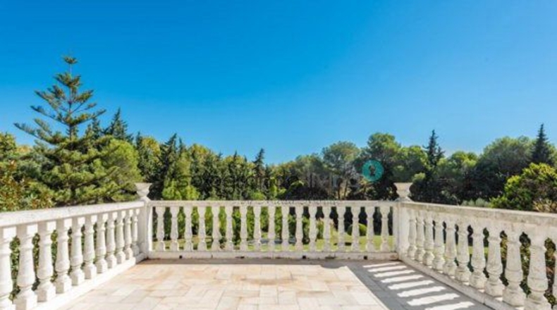 Cádiz - San Roque - 7670m2