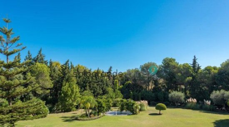Cádiz - San Roque - 7670m2