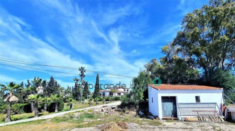 Cádiz - San Enrique de Guadiaro - 7000m2