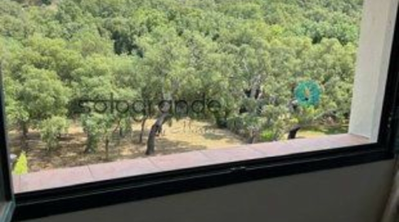 Cádiz - San Roque - 2085m2