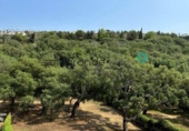 Xalet adossat amb terreny en venda a San Roque ref.: TR93979 foto
