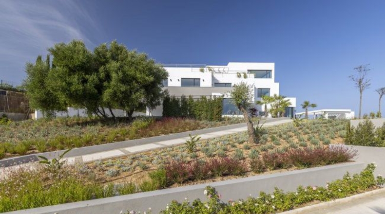 Cádiz - San Roque - 3765m2