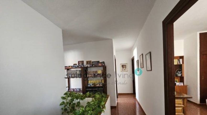 Cádiz - San Roque - 550m2