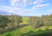 Xalet adossat amb terreny en venda a San Roque ref.: TR99728 foto