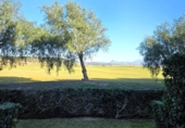 Xalet adossat amb terreny en venda a San Roque ref.: TR99728 foto