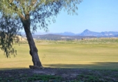 Xalet adossat amb terreny en venda a San Roque ref.: TR99728 foto