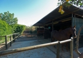 Finca rústica en venda a Estepona ref.: TR103728 foto