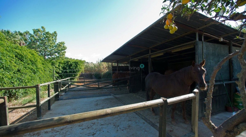 Málaga - Trocha de Guadalobón - 4000m2