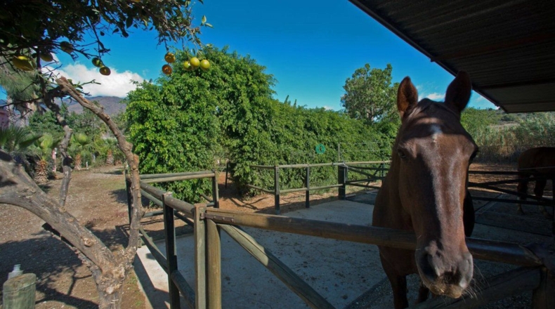 Málaga - Trocha de Guadalobón - 4000m2