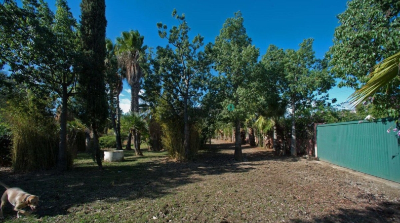 Málaga - Trocha de Guadalobón - 4000m2