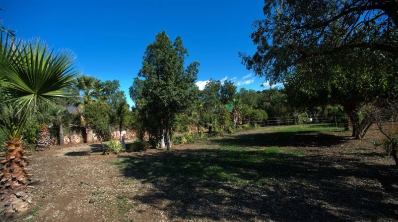 Málaga - Trocha de Guadalobón - 4000m2