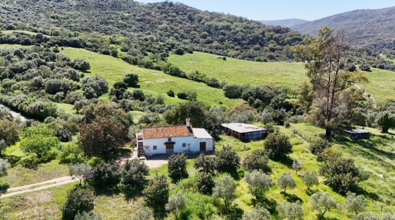 Málaga - Gaucín - 53753m2