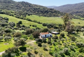 Gaucín 53753&nbsp;m²