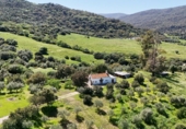 Finca rústica en venta en Gaucín ref: TR105461 foto