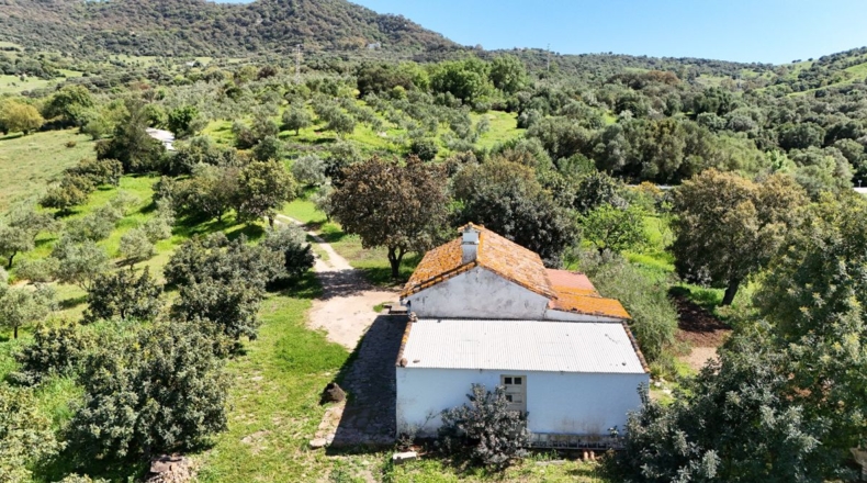 Málaga - Gaucín - 53753m2