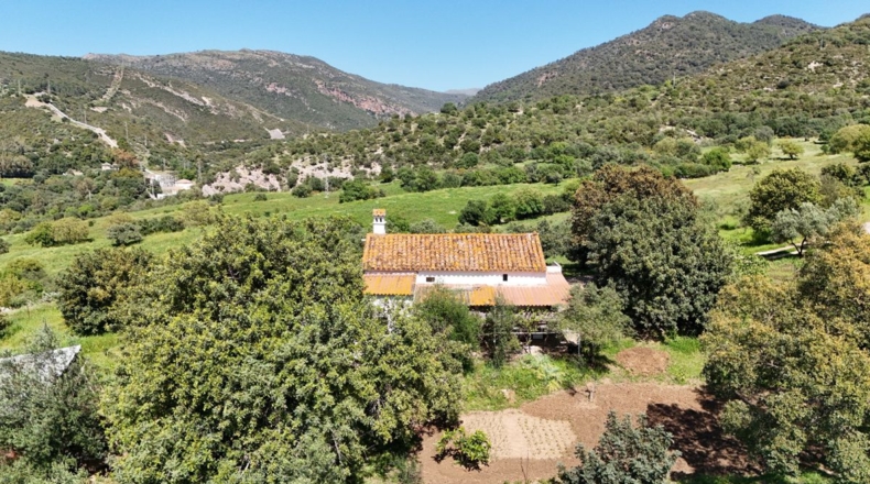 Málaga - Gaucín - 53753m2