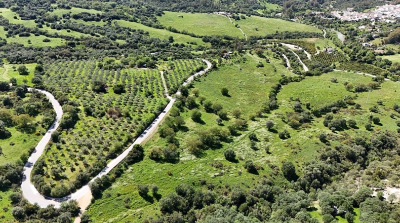 Málaga - Gaucín - 70000m2