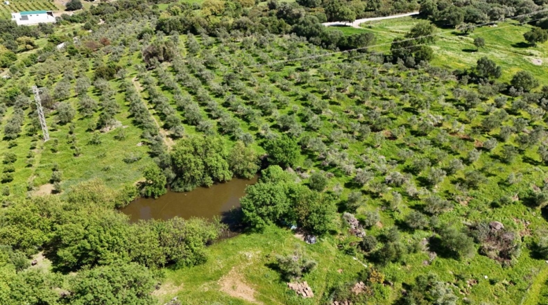 Málaga - Gaucín - 70000m2