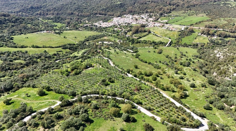 Málaga - Gaucín - 70000m2