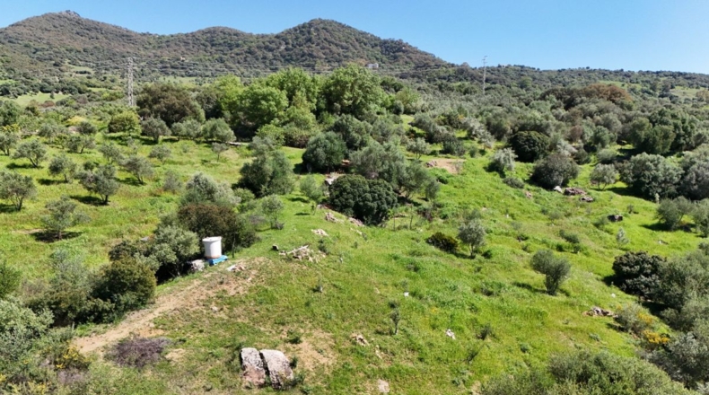 Málaga - Gaucín - 70000m2