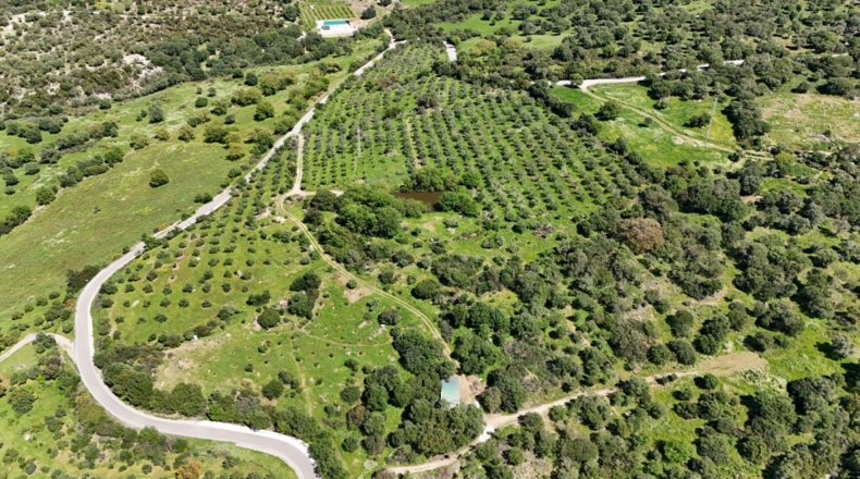 Málaga - Gaucín - 70000m2