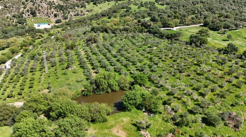 Málaga - Gaucín - 70000m2