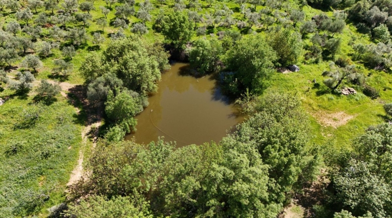 Málaga - Gaucín - 70000m2