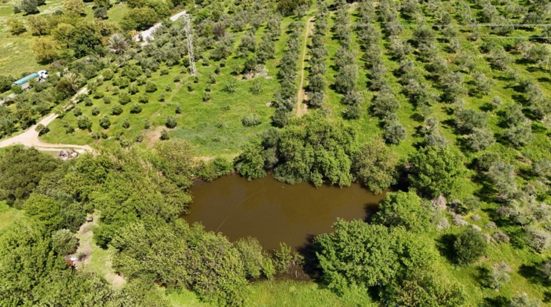 Málaga - Gaucín - 70000m2