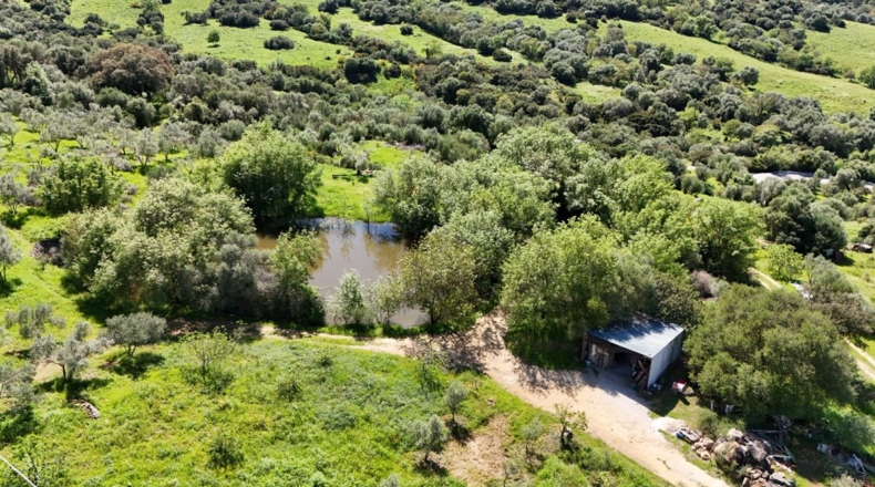 Málaga - Gaucín - 70000m2
