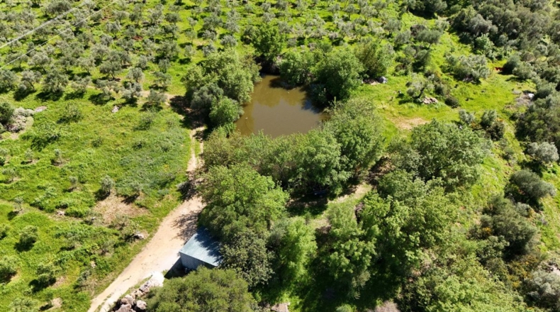 Málaga - Gaucín - 70000m2