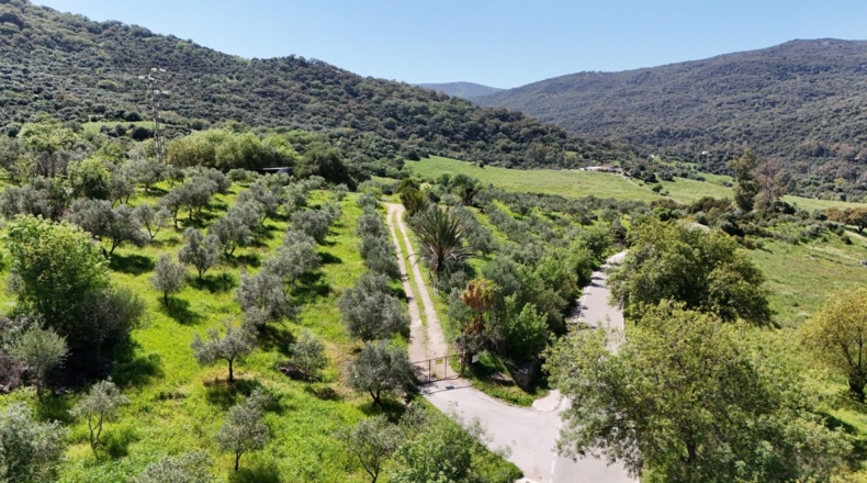 Málaga - Gaucín - 70000m2
