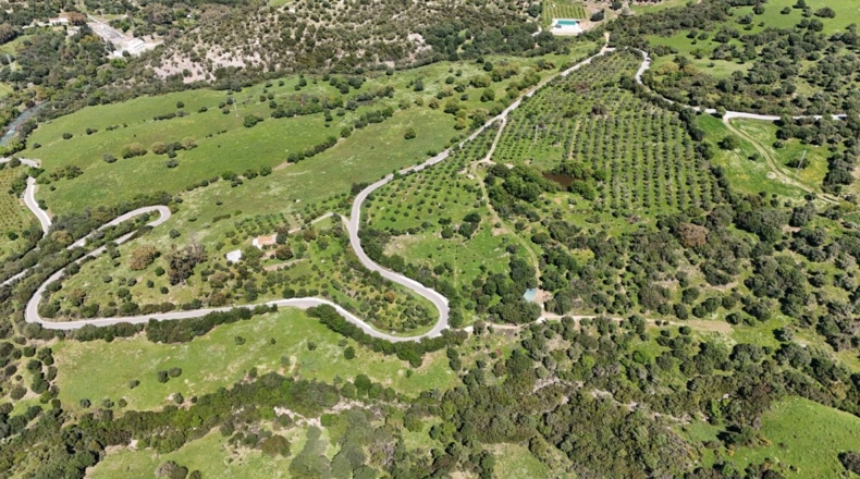 Málaga - Gaucín - 70000m2