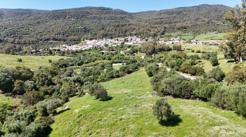 Málaga - Gaucín - 70000m2